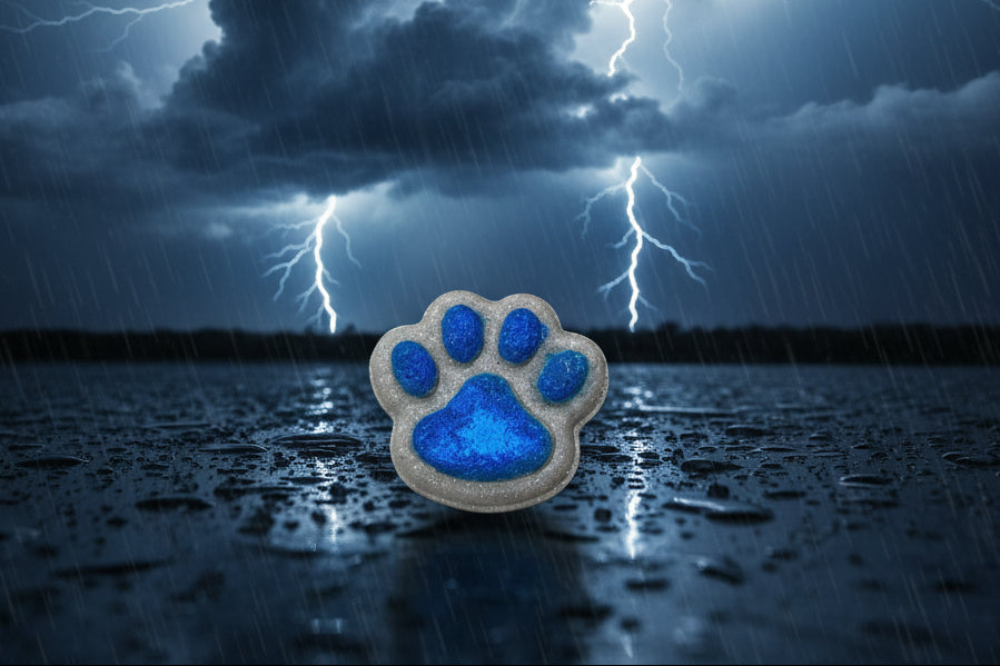 Stormy Nights Paw Bath Bomb