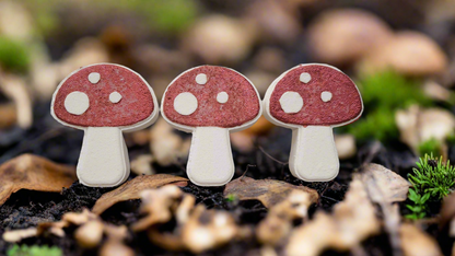 Valkyrie Mushroom Bath Bomb