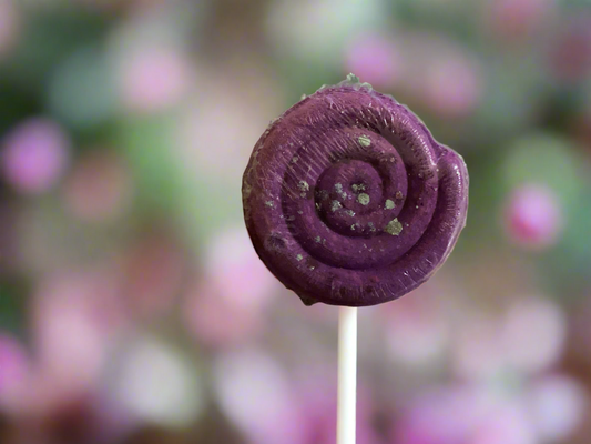 Sugar Plums & Figs Mini Swirl Bath Bomb