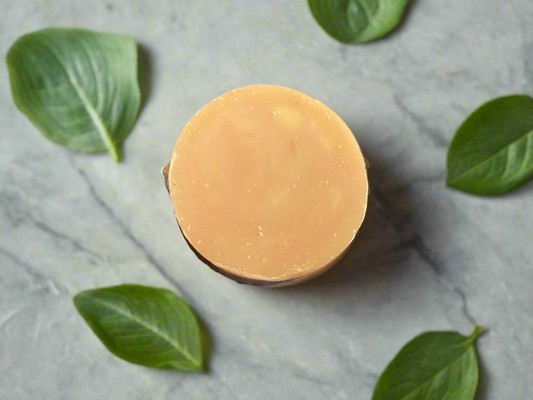 Sunny Margarita Shampoo Bar