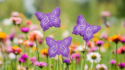 Deb's Flowers Butterfly Bath Bomb