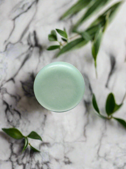 Tea Tree Conditioner Bar