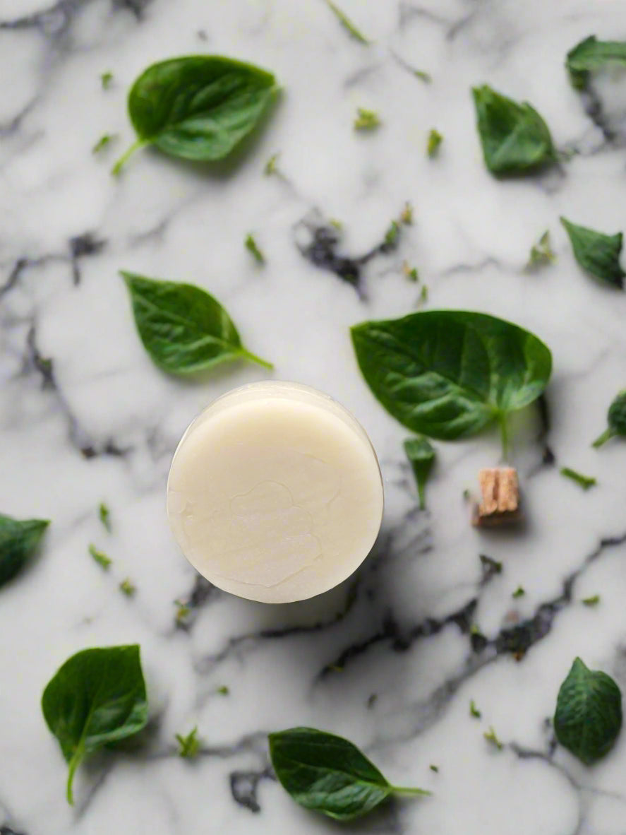 Earthy Magic Conditioner Bar