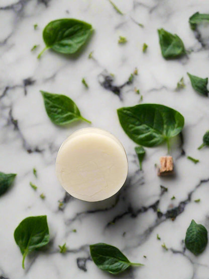 Earthy Magic Conditioner Bar
