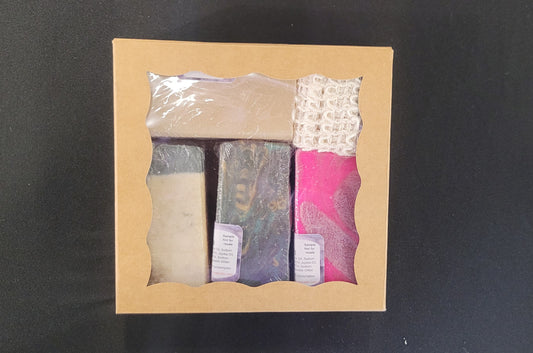 4 pack Sample Goat's Milk Soap with Scrubby Bag